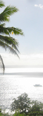 Ocean