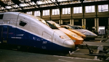 ZP-1000