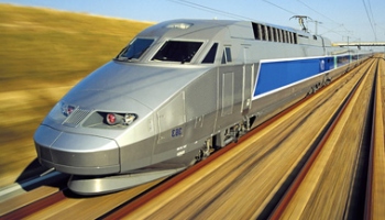 ZP-800
